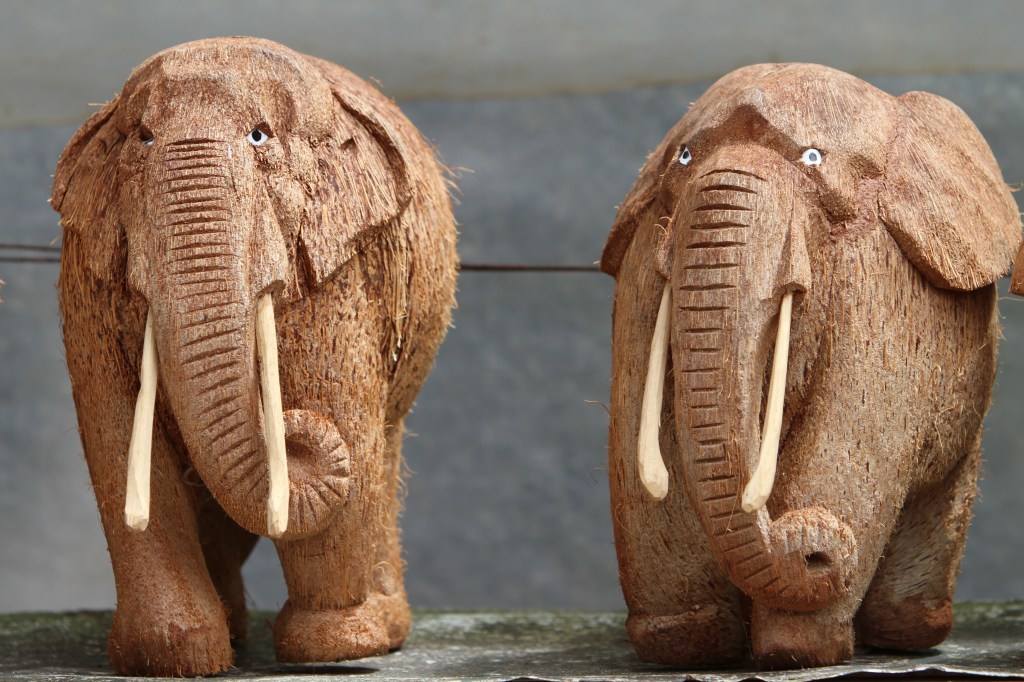 Elephants in the room